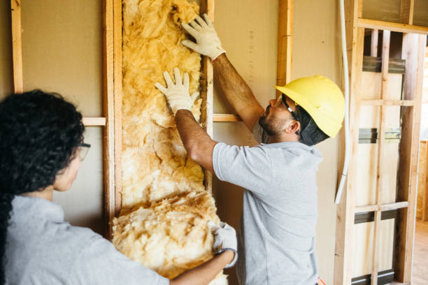 Best Radiant Barrier Insulation  in Guin, AL