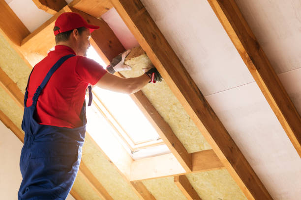 Trusted Guin, AL Insulation Installation & Removal Experts